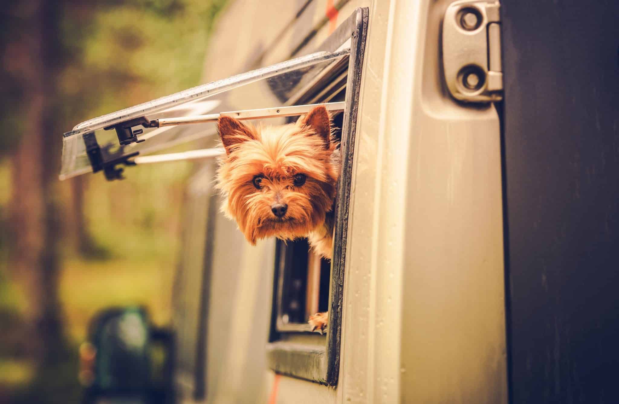 RVnGO RV Rental Marketplace