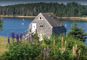 Captain Lyde House Winter Harbor Me Oceanfront Cottage Cottage Waterfront Cottage
