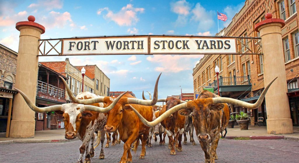 The BEST things to do at the Fort Worth Stockyards - BEA ADVENTUROUS