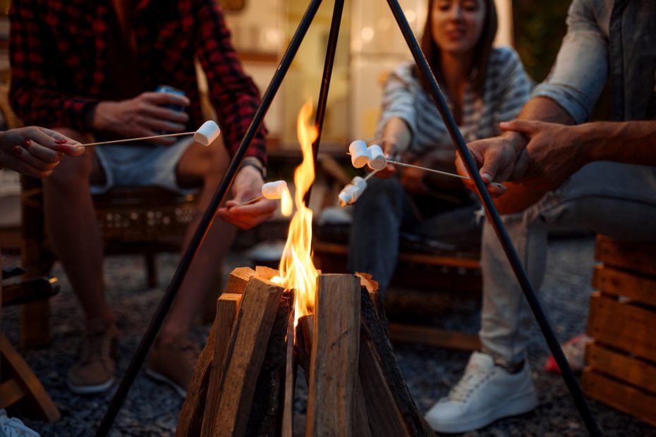 campfires and rvngo