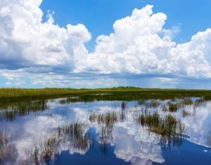 Chokoloskee Island Everglades Florida