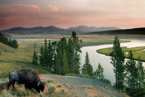 boondocking near yellowstone national park
