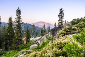 boondocking near yosemite national park