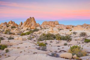 boondocking near joshua tree national park