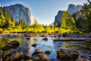 hiking trails in Yosemite National Park