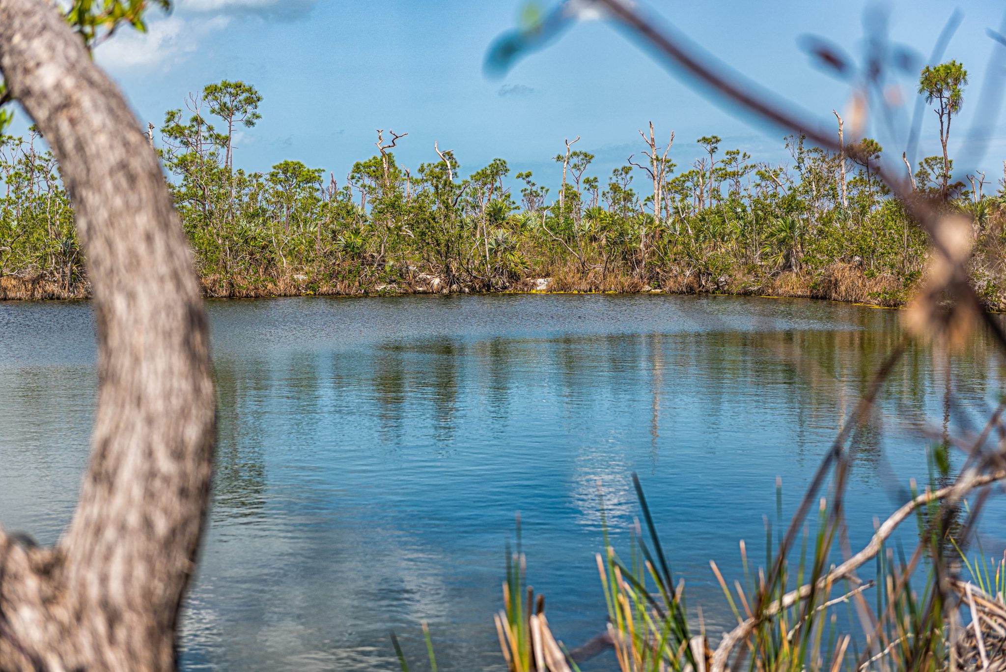 Top Five Hiking Trails In The Florida Keys To Explore This Summer - RV ...