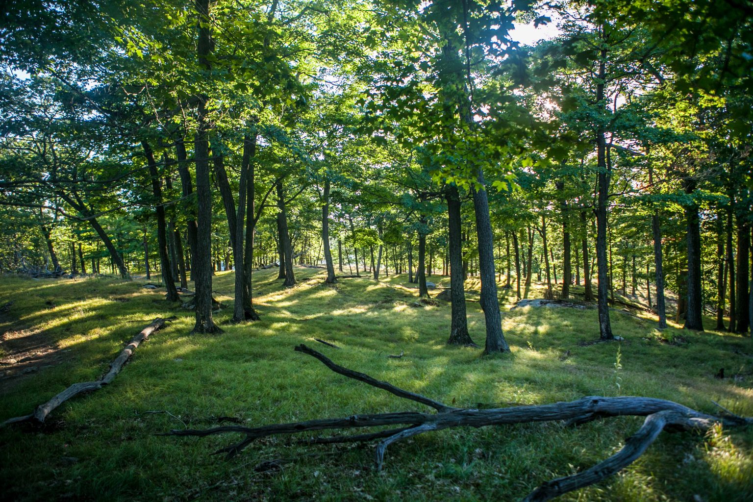 Best RV Campgrounds In Upstate New York - RV Rental Blog