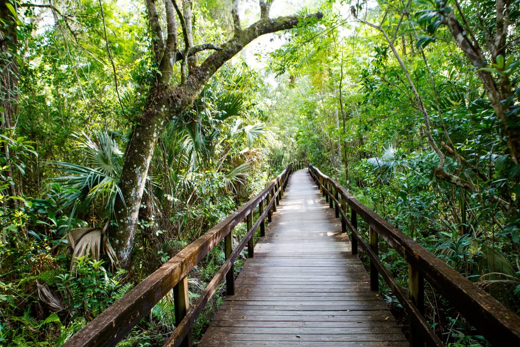 Top Five Best Places To Go Hiking Near Miami