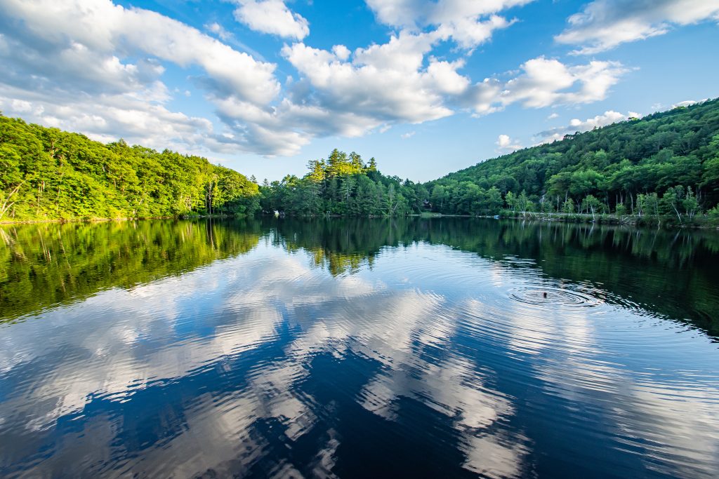Top Five Hiking Trails In Green Mountain National Forest