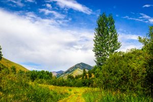 things to do in ketchum