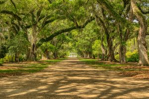 small towns to visit in louisiana
