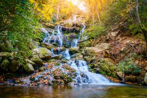 hiking trails in Pisgah National Forest