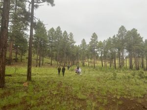 Mahoney State Park