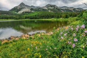 lost lake trail in gunnison national forest
