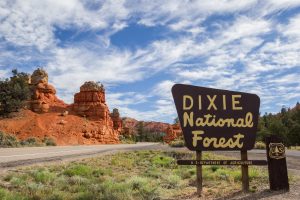 dixie national forest
