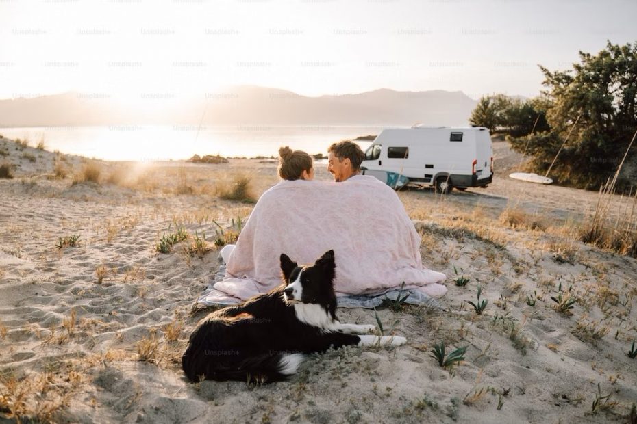pet-friendly destinations rvngo