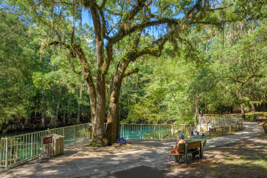 Manatee Springs State Park