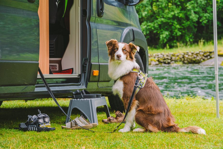 dog friendly rv campgrounds near portland