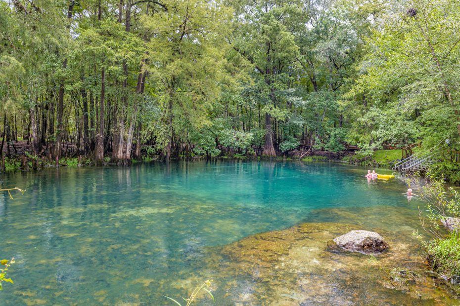hiking trails in Manatee Springs