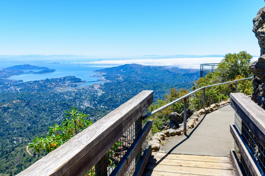 hiking trail in Mount Tamalpais