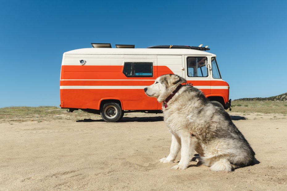 campgrounds near san diego