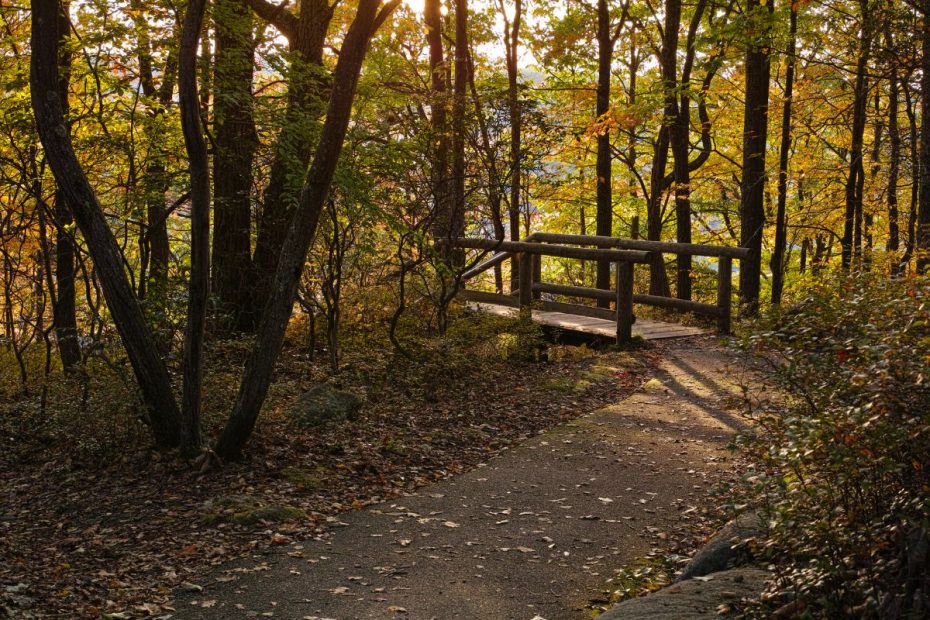 Top 5 Hidden Gem RV Destinations near Philadelphia, PA