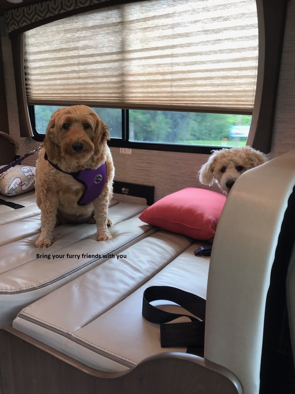 Photo 17 - 2021 Thor Class C Motorhome rental photo 19
