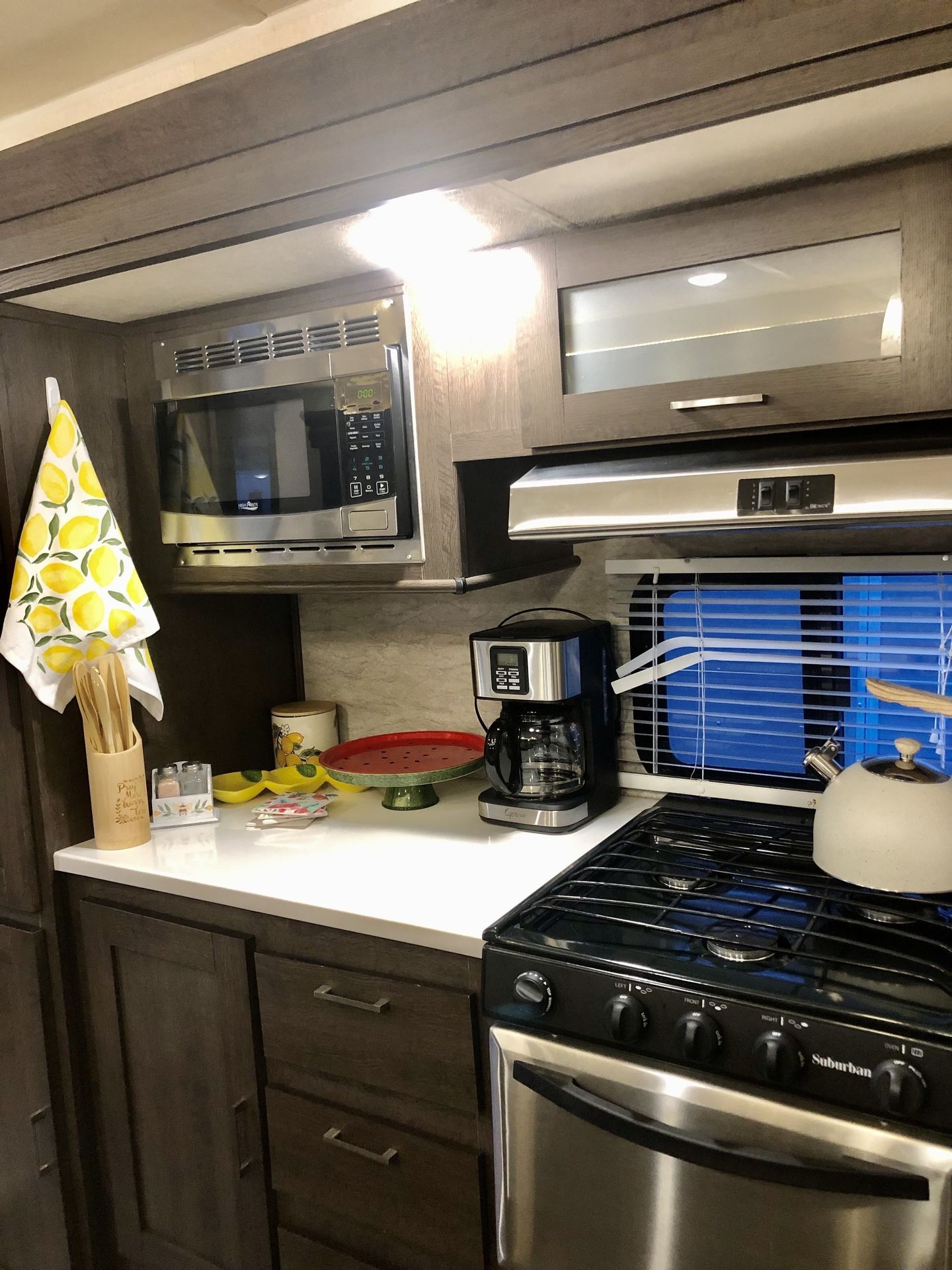 Photo 3 - 2019 Forest River Travel Trailer rental photo 5