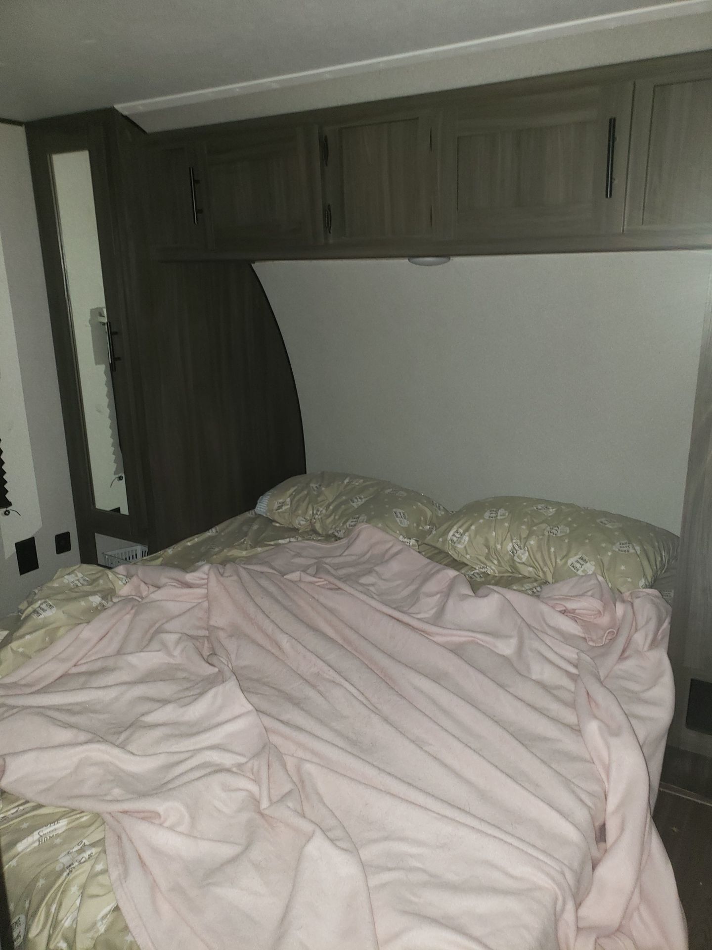 Photo 4 - 2021 Forest River Travel Trailer rental photo 6