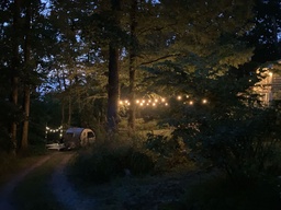 Photo 11 thumbnail 13