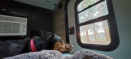 Photo 10 thumbnail 12