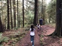 Photo 10 thumbnail 12