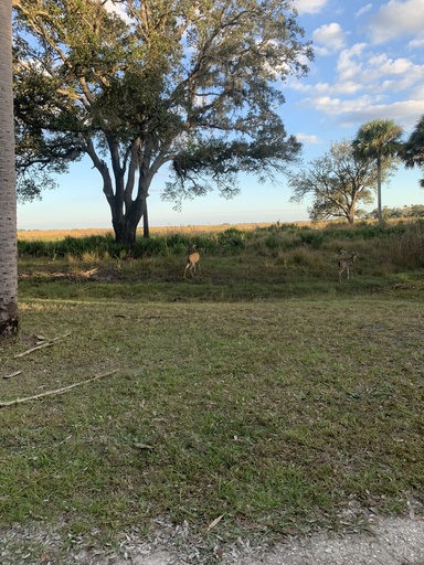 2019 Forest River Surveyor Travel Trailer for rent in Jupiter, FL
