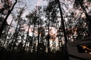 Photo 23 thumbnail 25
