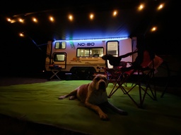 Photo 15 thumbnail 17