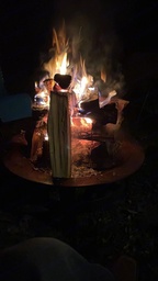 Photo 36 thumbnail 38