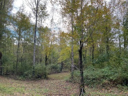 Photo 21 thumbnail 23