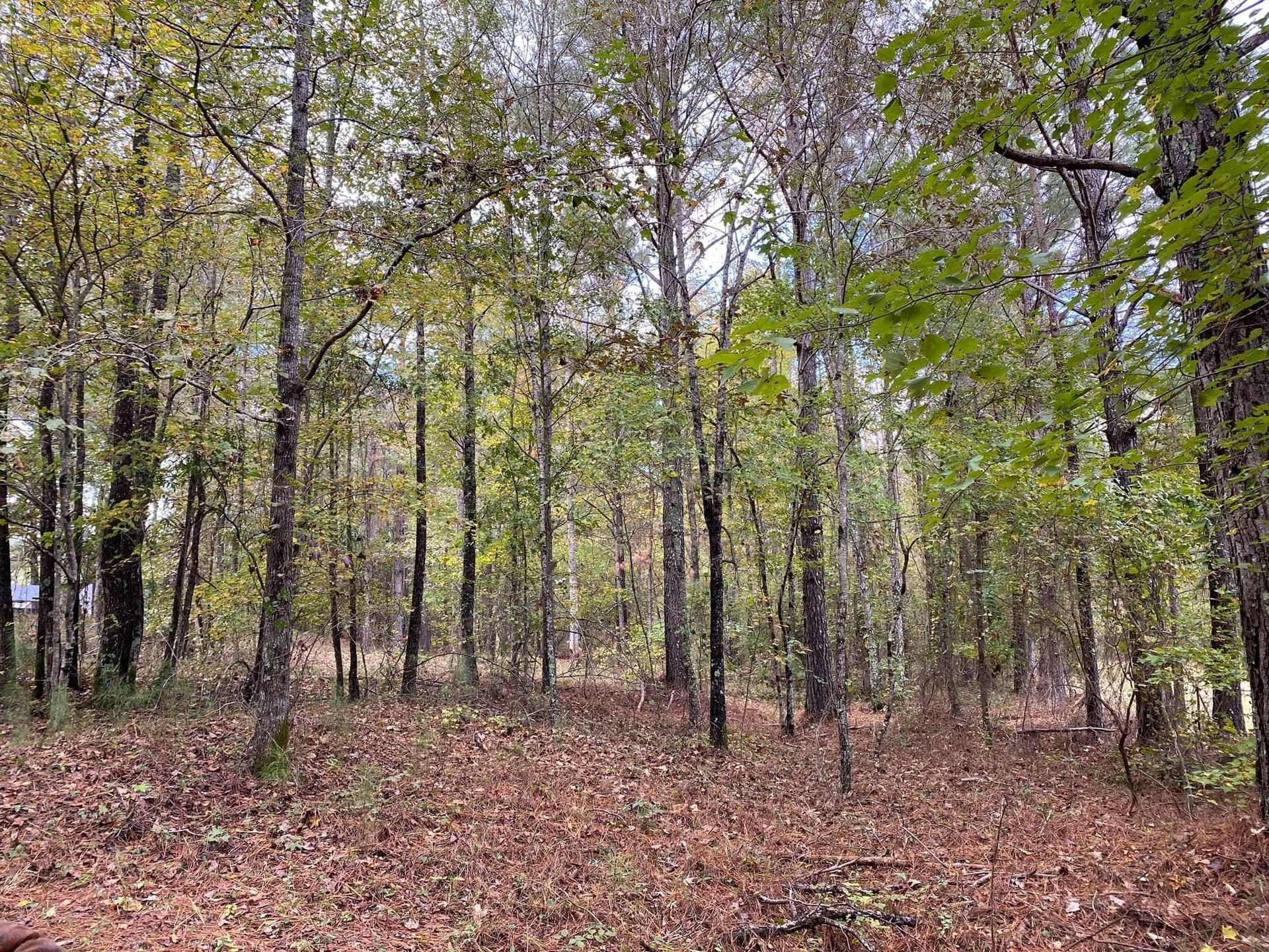 Photo 24 - 2015 Keystone Travel Trailer rental photo 26