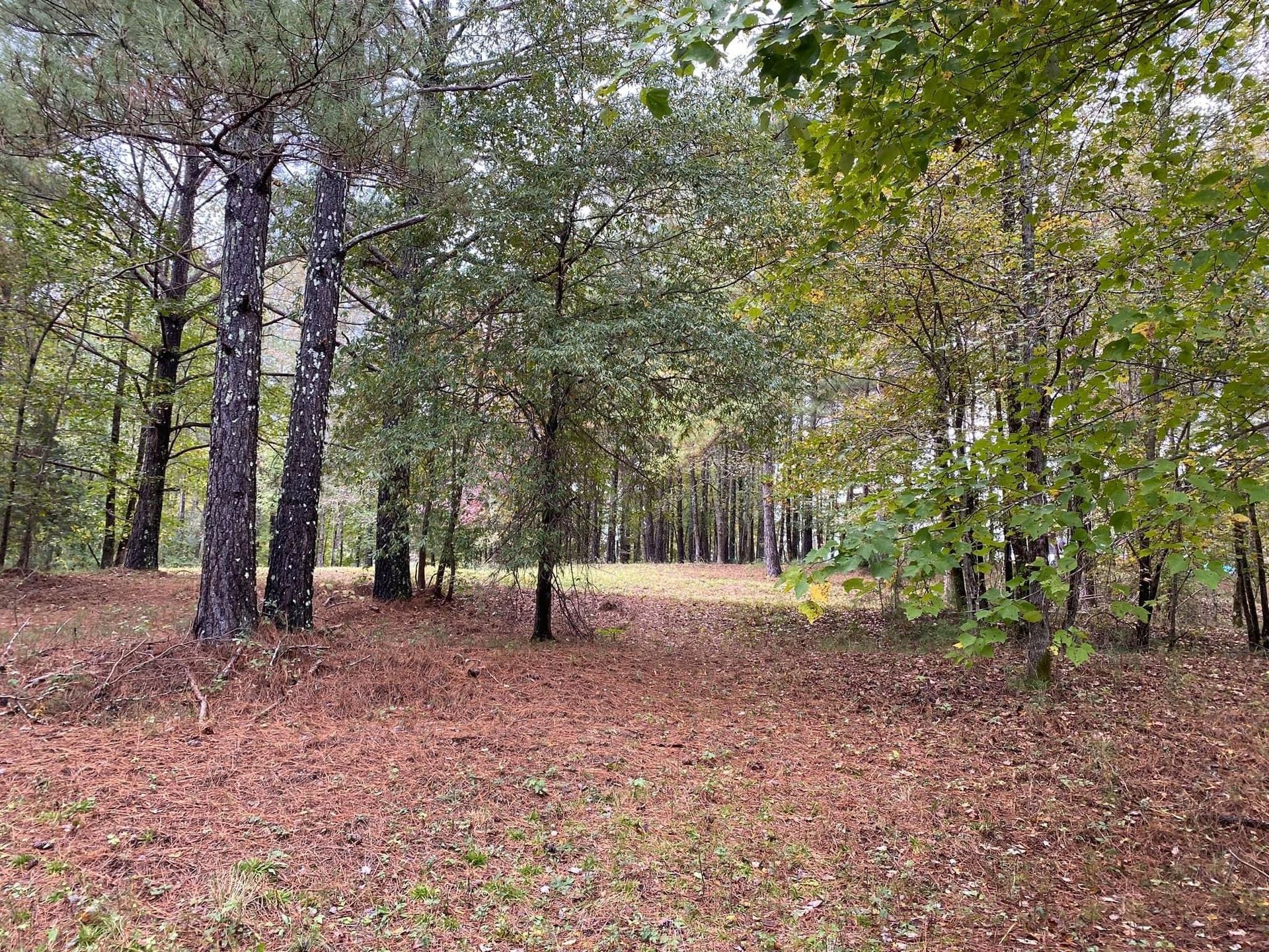 Photo 26 - 2015 Keystone Travel Trailer rental photo 28