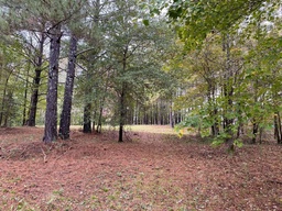 Photo 26 thumbnail 28