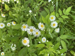 Photo 28 thumbnail 30