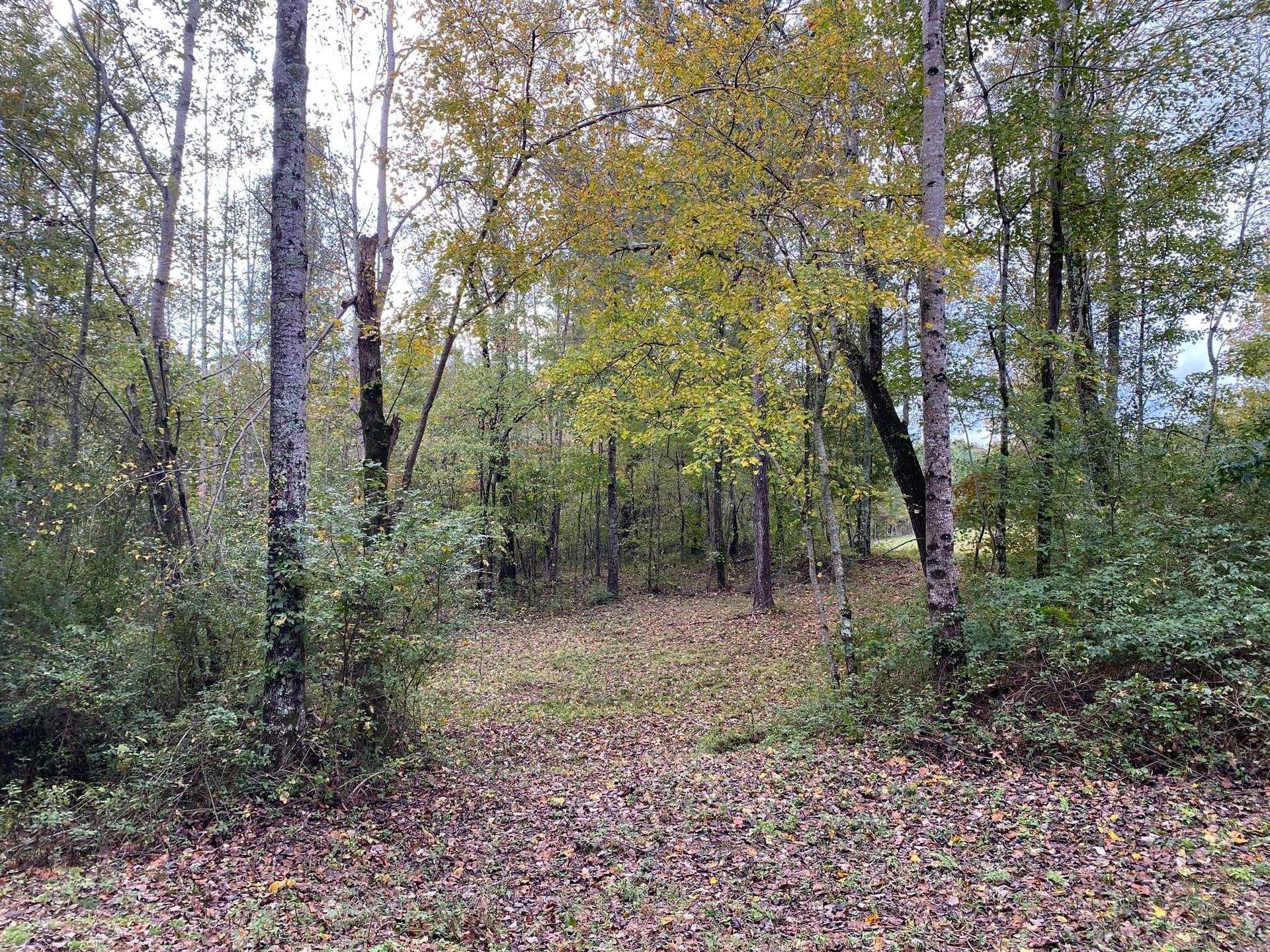 Photo 30 - 2015 Keystone Travel Trailer rental photo 32