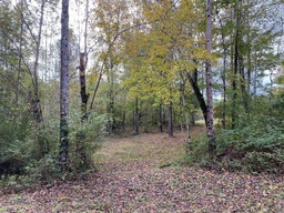 Photo 30 thumbnail 32