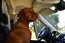 Photo 20 thumbnail 21