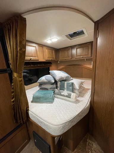 2016 Ford Coachmen Leprechaun Class C Motorhome for rent in Irvine, CA