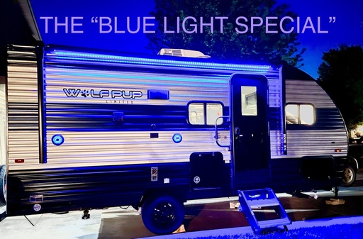 2021 Forest River Wolf Pup 16BHS Travel Trailer for rent in Shakopee, MN