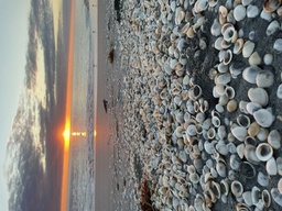 Photo 7 thumbnail 9