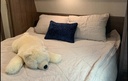 Photo 20 thumbnail 22