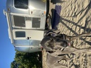 Photo 14 thumbnail 16