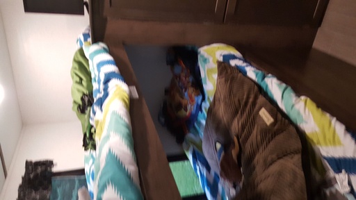 2019 Keystone Rv Passport 292BH Travel Trailer for rent in Chesapeake, VA